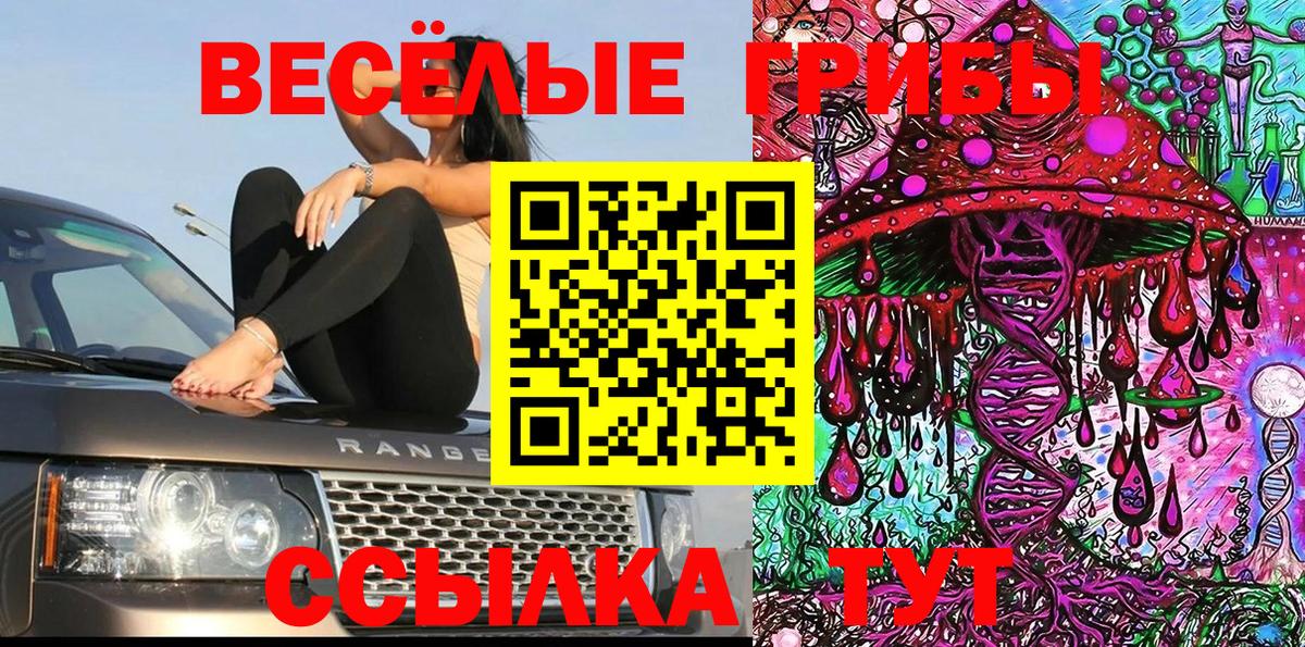 Псилоцибиновые грибы Psilocybe Ржев